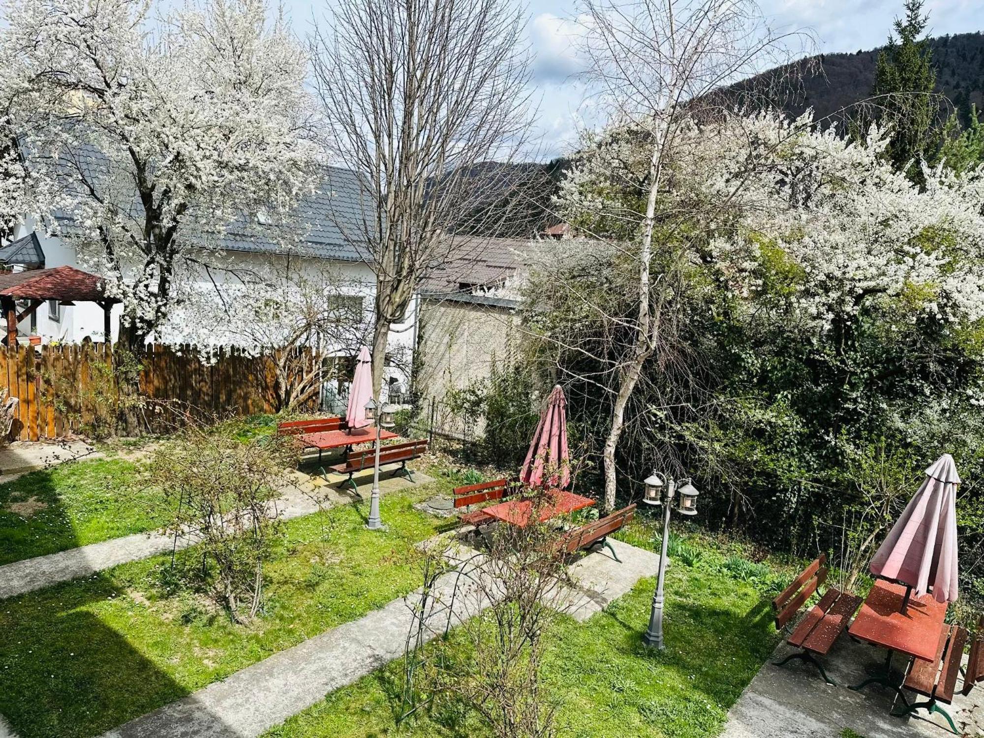 Rapsodia Sinaia Acomodação com café da manhã Exterior foto